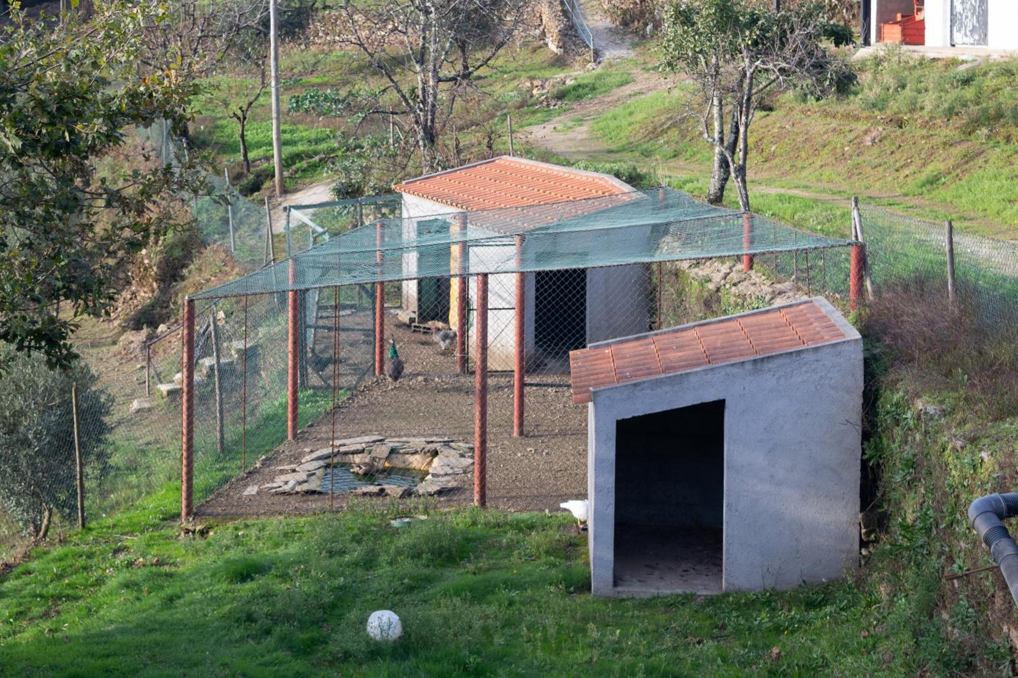 Ecofurtado Villa Luaran gambar